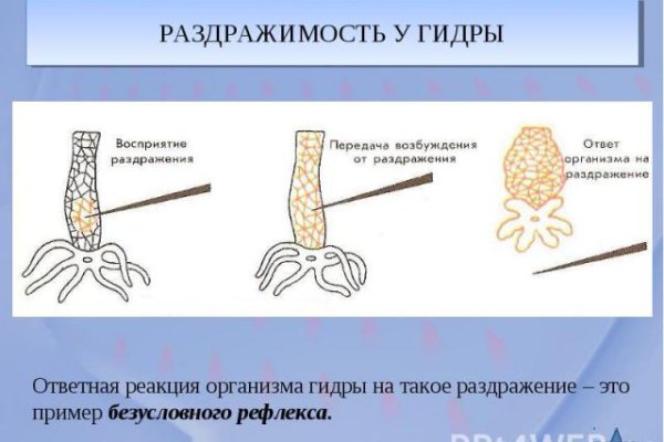 Кракен телеграмм канал