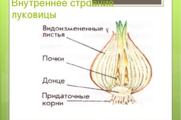 Не могу зайти на кракен