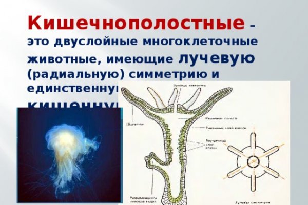 Кракен сайт магазин